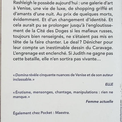 Domina – Tome 2 – L. S. Hilton – Thriller érotique et suspense d’occasion - Livre