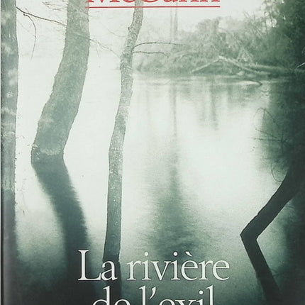Roman contemporain drame et mémoire – La Rivière de l’exil Colum McCann - Livre