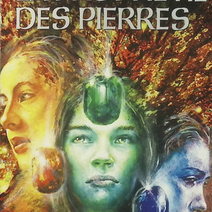 La Prophétie des pierres – Flavia Bujor – Roman fantasy jeunesse d’occasion - Livre