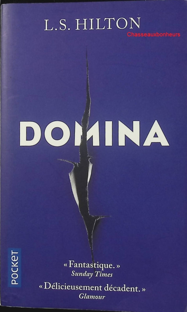 Domina – Tome 2 – L. S. Hilton – Thriller érotique et suspense d’occasion - Livre