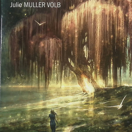 L'Hayden - tome 1 - Le secret d'Eli - Julie Muller Volb - livre