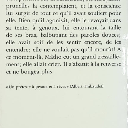 Salammbô - Gustave Flaubert - Roman historique classique - Livre poche d'occasion - Livre