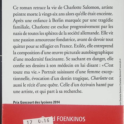Charlotte – Roman biographique de David Foenkinos – Histoire bouleversante de Charlotte Salomon entre art, guerre et mémoire - Livre