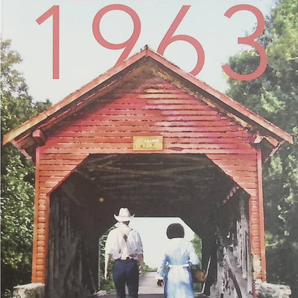 Alabama 1963 – Ludovic Manchette et Christian Niemiec, roman policier historique sur la ségrégation raciale, un meurtre mystérieux et l’Amérique des années 1960 - Livre