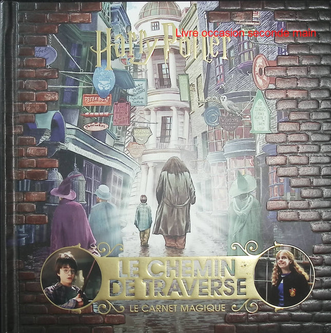 Harry Potter Le Chemin de Traverse - Le carnet magique - J.K. Rowling - Poudlard - Magie - Sorciers - Disney - Livre