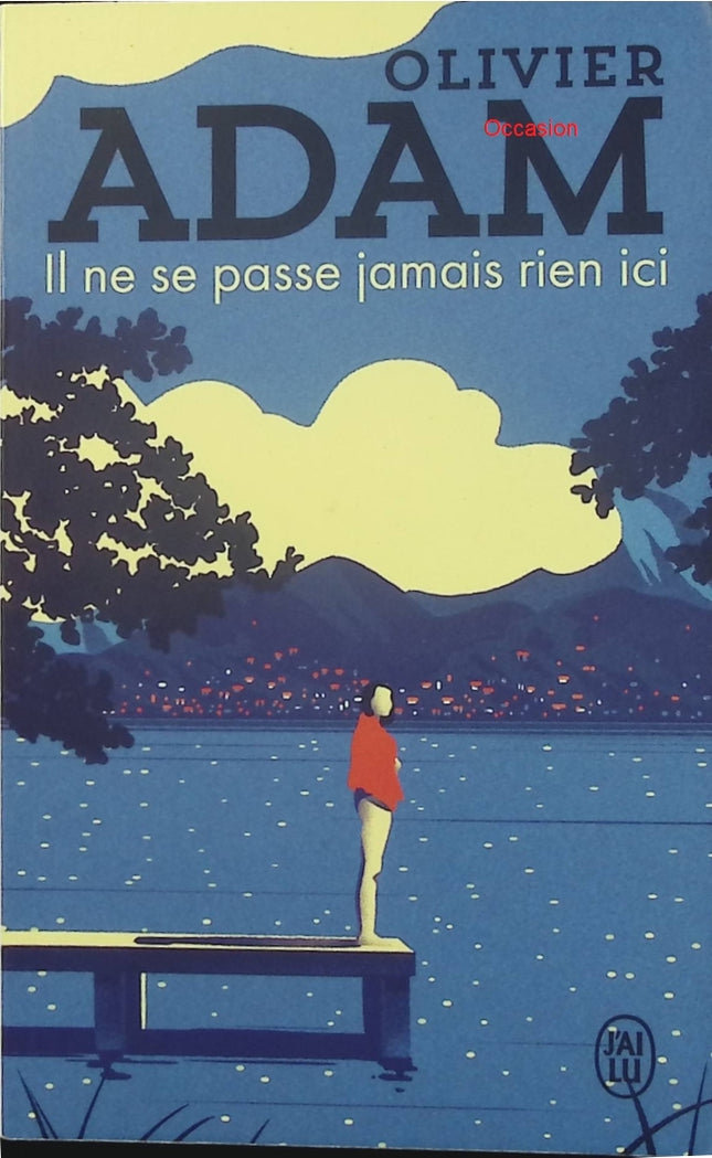 Il ne se passe jamais rien ici – Olivier Adam – Roman contemporain France province solitude drame intime - Livre