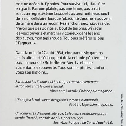 L’Enragé – Sorj Chalandon – Roman contemporain inspiré d’une histoire vraie – Révolte, enfance et évasion - Livre
