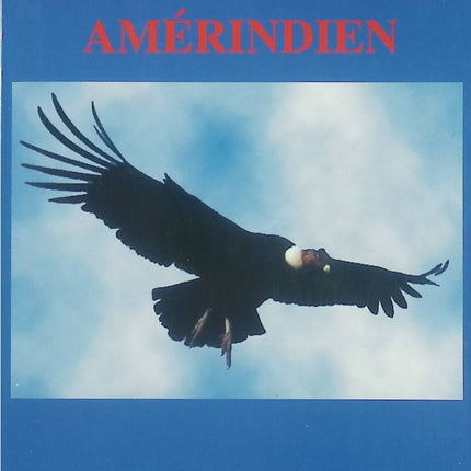 Le Voyage sacré amérindien – Don Marcelino – spiritualité amérindienne et développement personnel – livre d’occasion - Livre