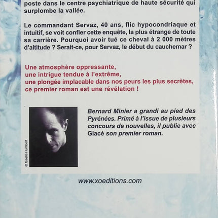Glacé – Bernard Minier – Thriller policier, enquête criminelle et suspense psychologique - Livre