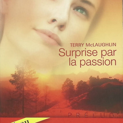 Surprise par la passion ; L’enfant de l’autre – Terry McLaughlin – romance Harlequin passion grossesse amour inattendu - Livre
