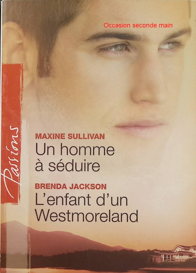 Un homme à séduire ; L'enfant d'un Westmoreland – Maxine Sullivan, Brenda Jackson – Harlequin Passions, romances, séduction et famille - Livre