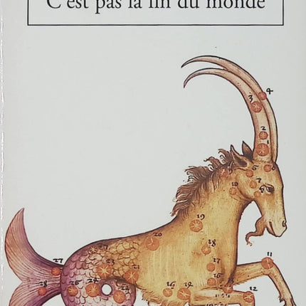 C'est pas la fin du monde - Kate Atkinson - Recueil de nouvelles d’occasion - Livre
