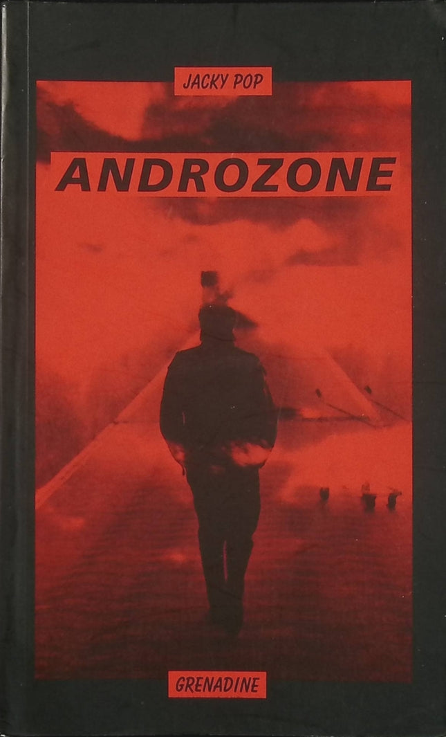 Androzone – Jacky Pop – roman noir polar urbain et enquête de détective – livre d’occasion - Livre