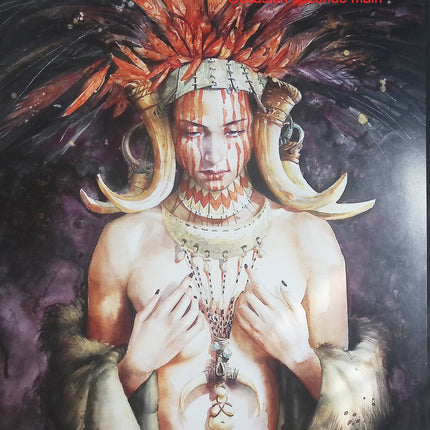 Chamanes - Les chants de la déesse + Le livre de croquis - Édition Deluxe - Jean-Sébastien Rossbach - Artbook d'occasion - Livre
