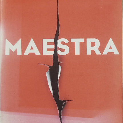 Maestra – L. S. Hilton – thriller érotique contemporain luxe art et vengeance - Livre