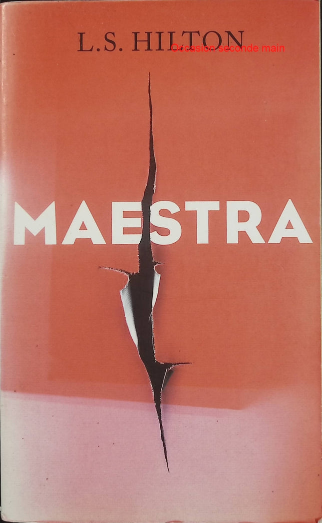 Maestra – L. S. Hilton – thriller érotique contemporain luxe art et vengeance - Livre