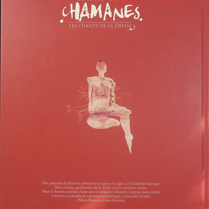 Chamanes - Les chants de la déesse + Le livre de croquis - Édition Deluxe - Jean-Sébastien Rossbach - Artbook d'occasion - Livre