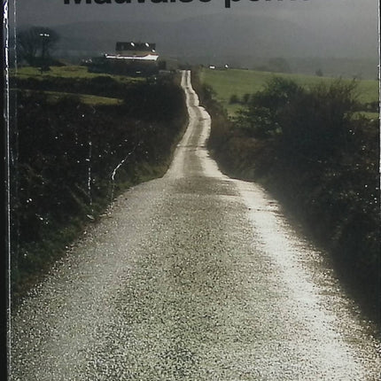 Mauvaise pente – Keith Ridgway – Roman irlandais sur la culpabilité, la fuite et la rédemption - Livre