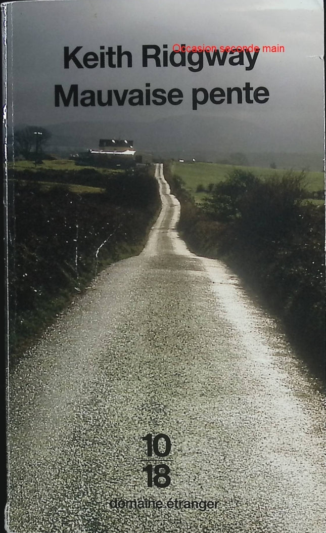 Mauvaise pente – Keith Ridgway – Roman irlandais sur la culpabilité, la fuite et la rédemption - Livre