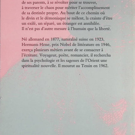 Demian - Hermann Hesse - Livre