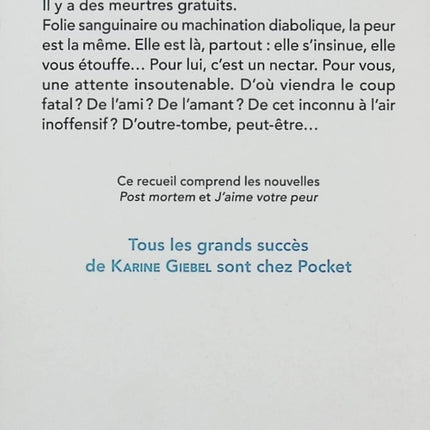 Maîtres du jeu Karine Giebel livre occasion – thriller psychologique suspense crime enquête - Livre