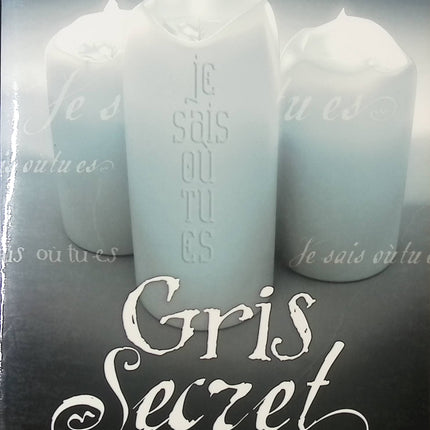 Gris secret Tome 3 – roman ado paranormal suspense visions Laurie Faria Stolarz saga mystère jeunesse - livre