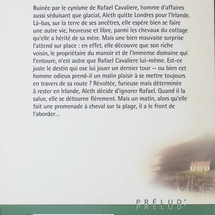 Une passion en Irlande – roman romantique de Lynne Graham amour et séduction - livre