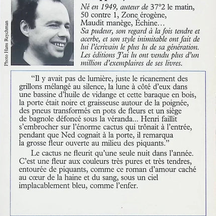 Bleu comme l’enfer – roman noir français Philippe Djian suspense psychologique occasion - Livre