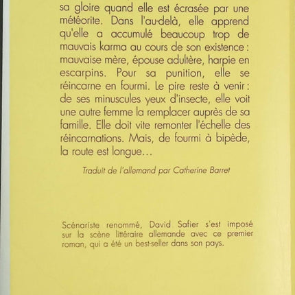 Maudit Karma – Roman humoristique et spirituel sur la réincarnation – David Safier - livre