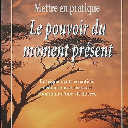 Mettre en pratique le pouvoir du moment présent – Eckhart Tolle – développement personnel, pleine conscience et sérénité - Livre