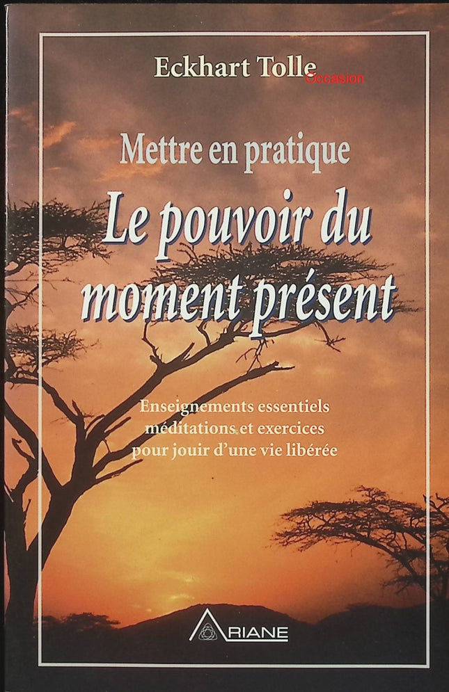 Mettre en pratique le pouvoir du moment présent – Eckhart Tolle – développement personnel, pleine conscience et sérénité - Livre