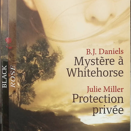 Mystère à Whitehorse / Protection privée – B.J. Daniels & Julie Miller – Roman sentimental à suspense – Secrets de famille et romance policière - Livre