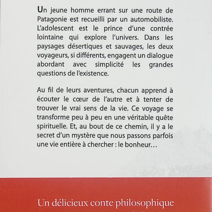Le Retour du Jeune Prince – Alejandro G. Roemmers – roman initiatique développement personnel quête de sens - Livre