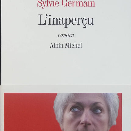 L’Inaperçu – Sylvie Germain – roman contemporain famille drame quête de soi mystère - Livre
