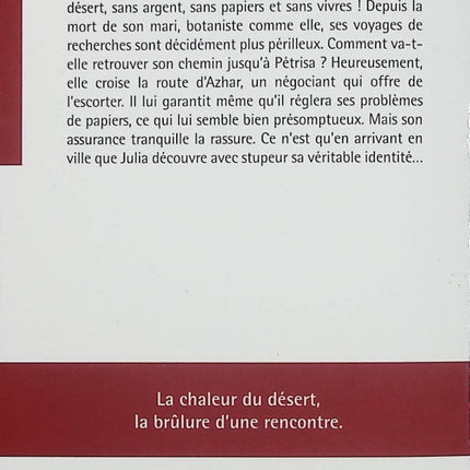 L’Anglaise et le prince – Marguerite Kaye – Romance historique – prince, aristocratie et amour interdit - Livre