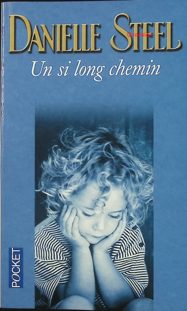 Un si long chemin – Danielle Steel – Roman sentimental drame famille amour résilience destin - Livre