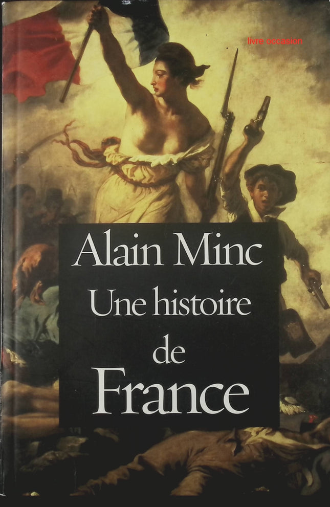 Une histoire de France - Alain Minc - Livre