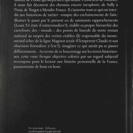 Une histoire de France - Alain Minc - Livre