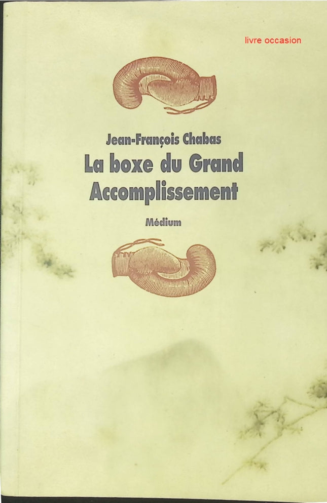 La boxe du Grand Accomplissement – Roman jeunesse et aventure initiatique – Jean-François Chabas - livre