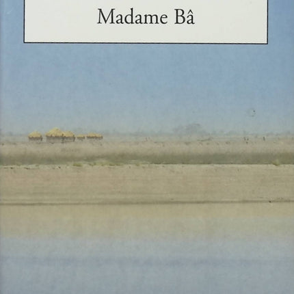 Roman Madame Bâ Erik Orsenna littérature contemporaine Afrique récit voyage identité occasion - Livre