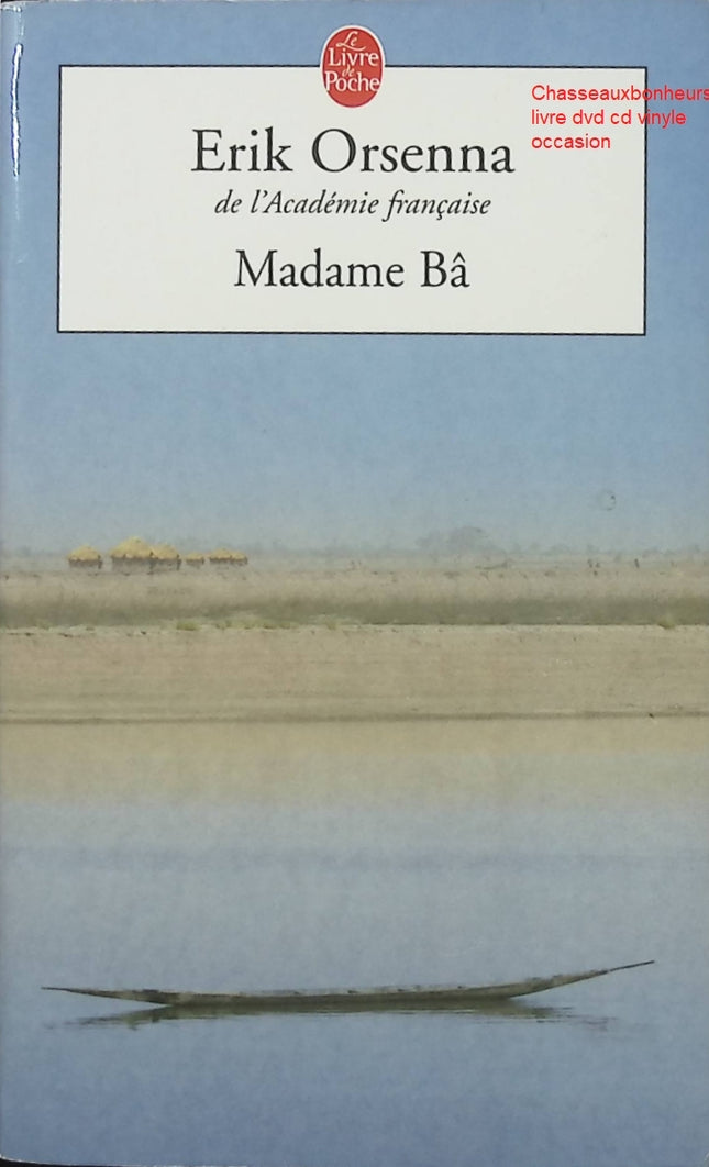 Roman Madame Bâ Erik Orsenna littérature contemporaine Afrique récit voyage identité occasion - Livre