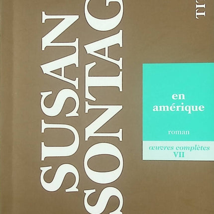 En Amérique – Susan Sontag – roman historique et quête américaine - livre