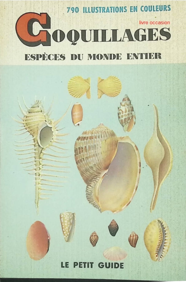 Coquillages – Espèces du monde entier : Le petit guide - Guide nature et identification des coquillages - livre