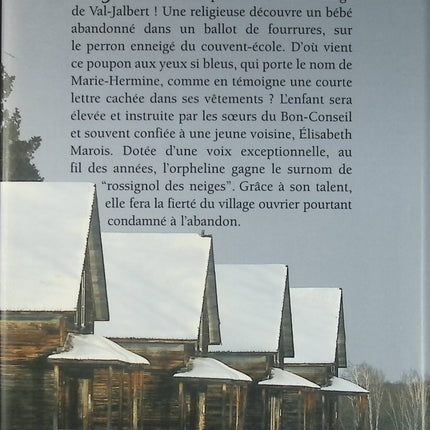 L’enfant des neiges – roman contemporain et émotion – Marie-Bernadette Dupuy - Livre