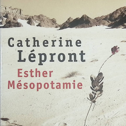 Esther Mésopotamie – Catherine Lépront roman français contemporain - livre