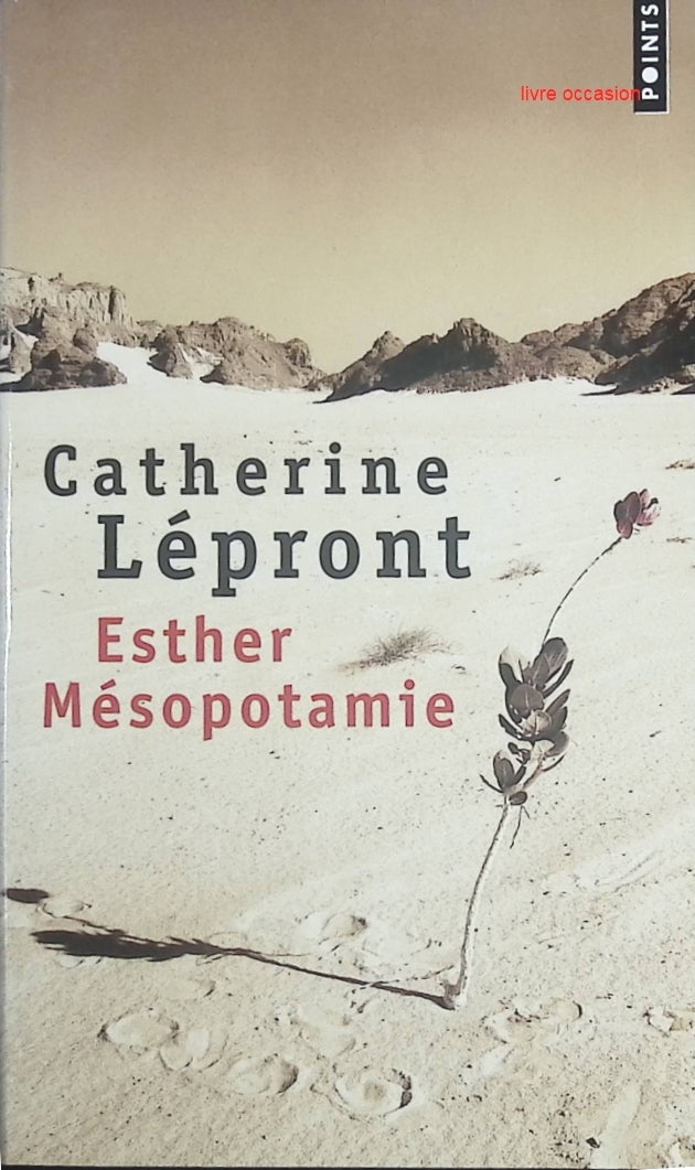 Esther Mésopotamie – Catherine Lépront roman français contemporain - livre