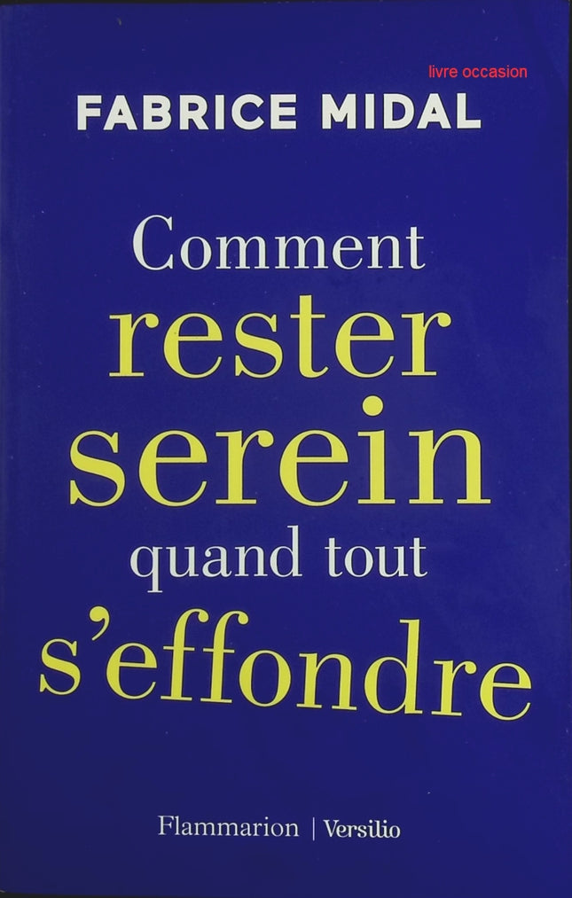 Comment rester serein quand tout s'effondre - Fabrice Midal - livre