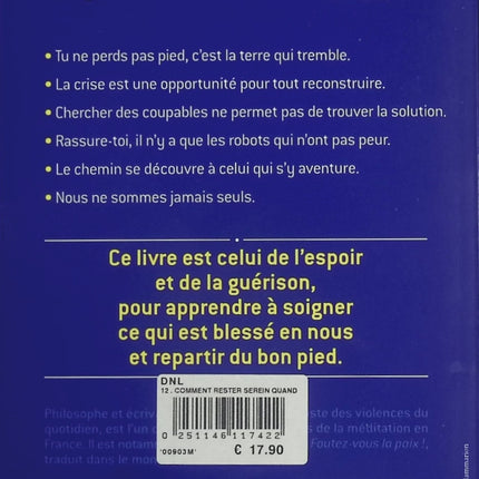 Comment rester serein quand tout s'effondre - Fabrice Midal - livre