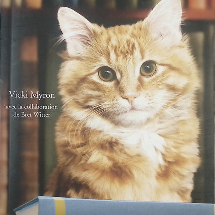 Dewey - Vicki Myron Bret Witter - livre