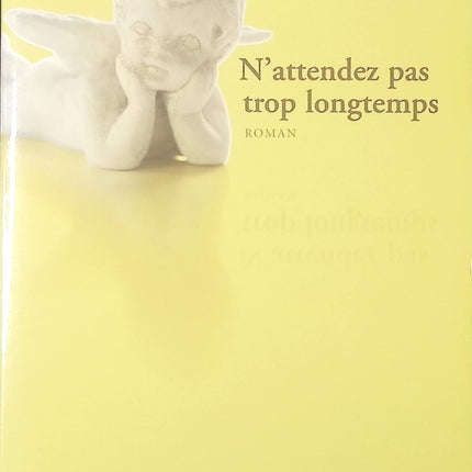 N'attendez pas trop longtemps - Agnès Marietta - livre